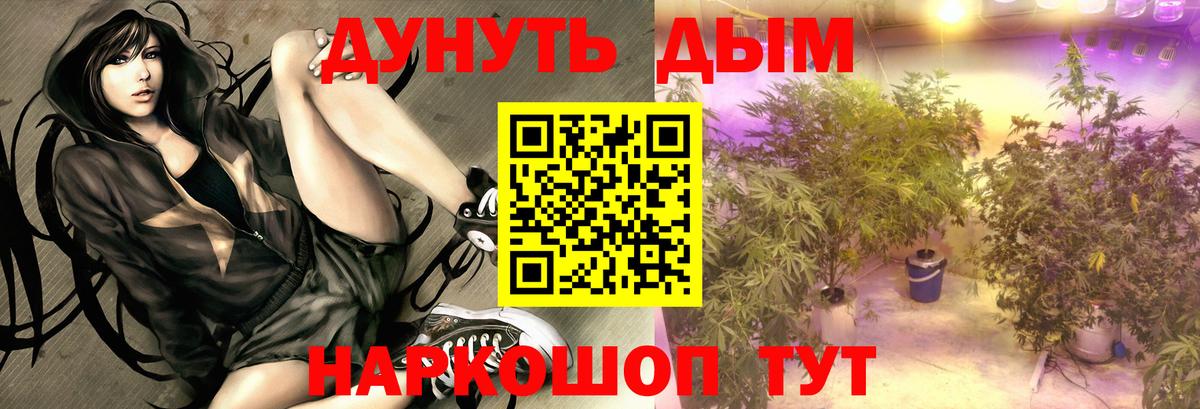 Марихуана планчик Пугачёв